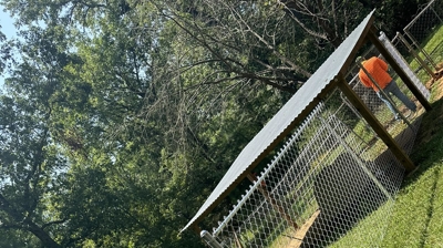 Dog Yard Fence Photo