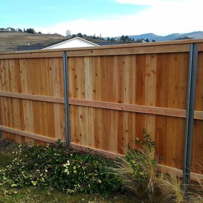 Backyard Fencing Photo
