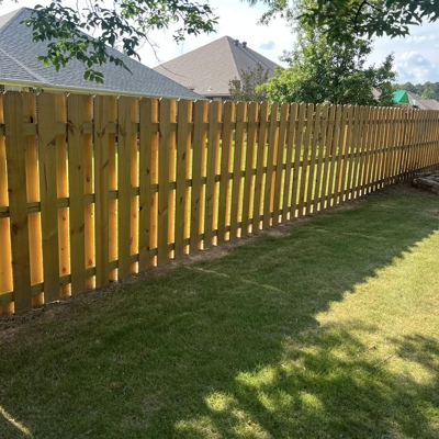 Backyard Privacy Fence Photo